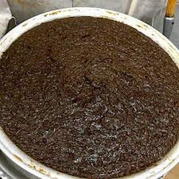 تصویر 1 از قیمت خرید حلوا سیاه محلی + فروش ویژه
